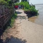 লালগোলার নদী ভাঙন: গৃহহীন বহু পরিবার পদ্মাগর্ভে তলিয়ে গেল বিএসএফ-এর রাস্তা