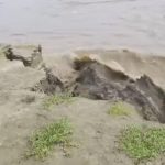 মানিকচক ব্লকে নদী ভাঙন তলিয়ে গেল ১৫০ মিটার জমি, ট্র্যাক্টর, গাড়ি