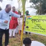 সুন্দরবনে এক লক্ষ নারকেল গাছ বসানোর সংকল্প