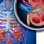 মোটা টাকার লোভে কিডনি বিক্রি, সক্রিয় পাচার চক্র