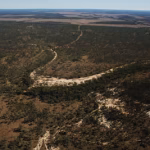 জঙ্গল সাফ করে আদানির কয়লা প্রকল্প, তোপ কংগ্রেসের