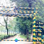 খুলে গেল গরুমারা জাতীয় উদ্যান-সহ সংরক্ষিত বনাঞ্চল, খুশি পর্যটক ও ব্যবসায়ীরা