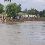 তারানগরে নতুন করে নদী ভাঙন হারিয়ে গেল নূরজাহান মুর্শিদের পিতা-মাতার কবর, গৃহহীন অসংখ্য পরিবার