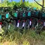 জং-জঙ্গলে মুখ ঢেকেছে সবুজ সাথীর লক্ষাধিক সাইকেল