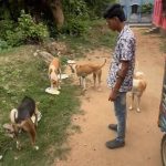 পাইগোড়ার নীল ব্যানার্জি: পথ কুকুরদের বন্ধু, মানবিকতার এক অনন্য দৃষ্টান্ত