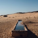 মরুভূমি হতে চলেছে অর্ধেক পৃথিবী