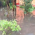 ধূপগুড়ি শহরে জলজট! প্রশাসনিক উদাসীনতায় ভুগছে সাধারণ মানুষ