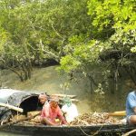 সুন্দরবন : প্রকৃতি, বন্যপ্রাণী ও মানুষের সহাবস্থানের বিস্ময়