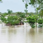 ভুটান পাহাড় ও ডুয়ার্সে টানা বৃষ্টি, ভয়াবহ বন্যা ও ধসে বিপর্যস্ত উত্তরবঙ্গ