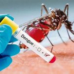 ডেঙ্গু মৃত্যুশূন্য বনগাঁয়