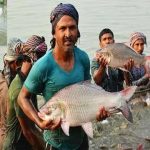 মাছ চাষের জলাভূমির জন্য অনলাইন নিলাম সংশোধনী ম্যানুয়ালে রাজ্য মন্ত্রিসভার ছাড়পত্র