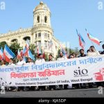 আমার নজরে এসআইও