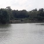 মান্থার প্রকোপ ও অকাল বৃষ্টিতে বিপর্যস্ত হাওড়ার কৃষক সমাজ