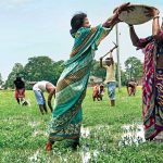 ১০০ দিনের কাজে কেন্দ্রের আর্জি খারিজ, হাইকোর্টের রায়ে সুপ্রিম-সায়