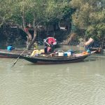 ৮৩ কিমি-র বেশি অধিক ফেন্সিং নেটে মোড়া দক্ষিণ চব্বিশ পরগনা বন বিভাগ