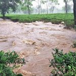 বন্যায় ভাসছে চা বাগান  ক্ষতির খতিয়ান ১০০ কোটিরও বেশি কার্নিভাল শেষে উত্তরবঙ্গে মুখ্যমন্ত্রী