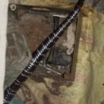 ঘুমন্ত অবস্থায় কালাচের কামড়, আক্রান্ত মা ও মেয়ে