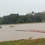 প্রবল স্রোতে ভেসে গেল চিলারঘাটের বাঁশের সেতু, বিচ্ছিন্ন পাঁচ গ্রাম
