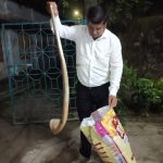 শীতে বাড়িতে সাপের উপদ্রব, আতঙ্কে ধূপগুড়ি শহরবাসী