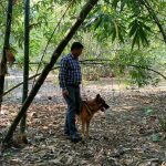 সমগ্র মুর্শিদাবাদ জুড়ে বোমা-অস্ত্রের খোঁজে পুলিশের চিরুনি তল্লাশি; হেল্পলাইনে মিলছে সাফল্য