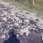 পথশ্রী প্রকল্পে নিম্নমানের রাস্তা নির্মাণের অভিযোগে চাঞ্চল্য