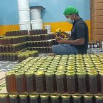 মৌমাছি পালন মধু উৎপাদন বিকল্প কর্মসংস্থান সৃষ্টি বনফুলের