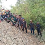 সপ্তাহ পার বাঘ নিয়ে নাজেহাল বনদপ্তর,এক রাতেই প্রায় ১৪ কিলোমিটার পাড়ি উপেন্দ্র নগর থেকে ধঞ্চি হয়ে পৌছালো সিতারামপুরে