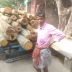 সরকারি খালের পাশে সরকারি জমিতে গাছ কাটার অভিযোগ, জয়নগরের বহড়ুতে চাঞ্চল্য