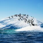 হুমকিতে বৈশ্বিক জলবায়ু অ্যান্টার্কটিকায় স্রোতের বিপরীত প্রবাহ বৃদ্ধি