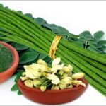 সজনে ডাঁটার বহুমুখী উপকার