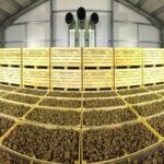 কৃষকদের কথা মাথায় রেখে ভাঙড়ে চালু হতে চলেছে বৃহৎ ফুড প্রসেসিং ইউনিট